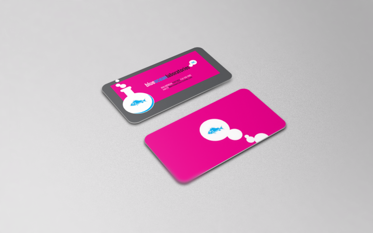 Blue Ocean Labs Branding